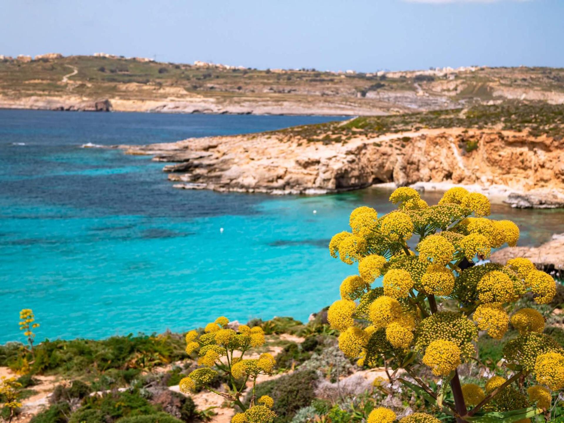 Cara Flats By Homely Mellieħa Extérieur photo